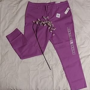 Pixie Ankle Length Pants